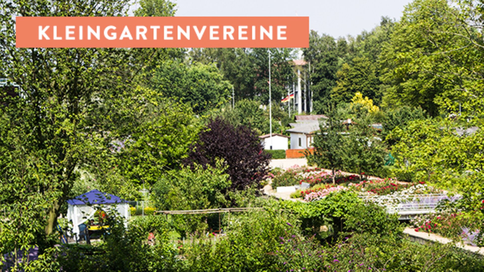 Wilhelmsburger_Inselpark_Natur_und_Garten_Kleingärten